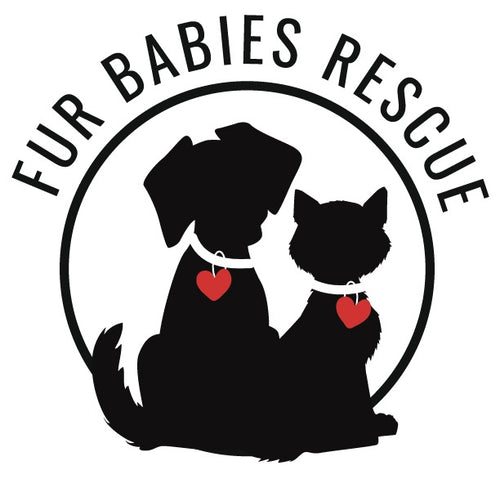 Compassionate Donation🐱🐕
